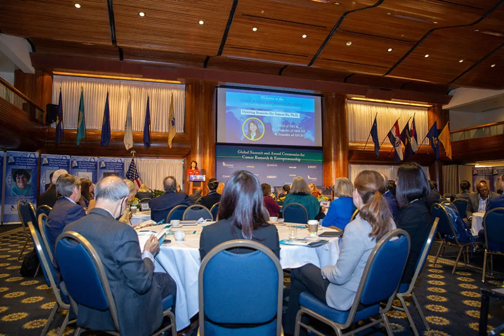 GirardIm_NFCR2022-48 small Panel I