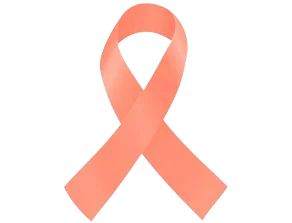 Uterine-removebg-preview