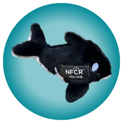 Jorgie the Orca Plush - Image 3